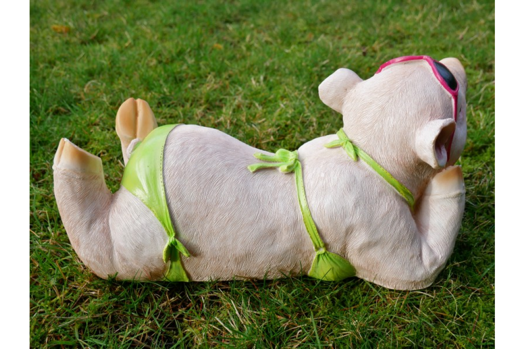 Pig In Bikini