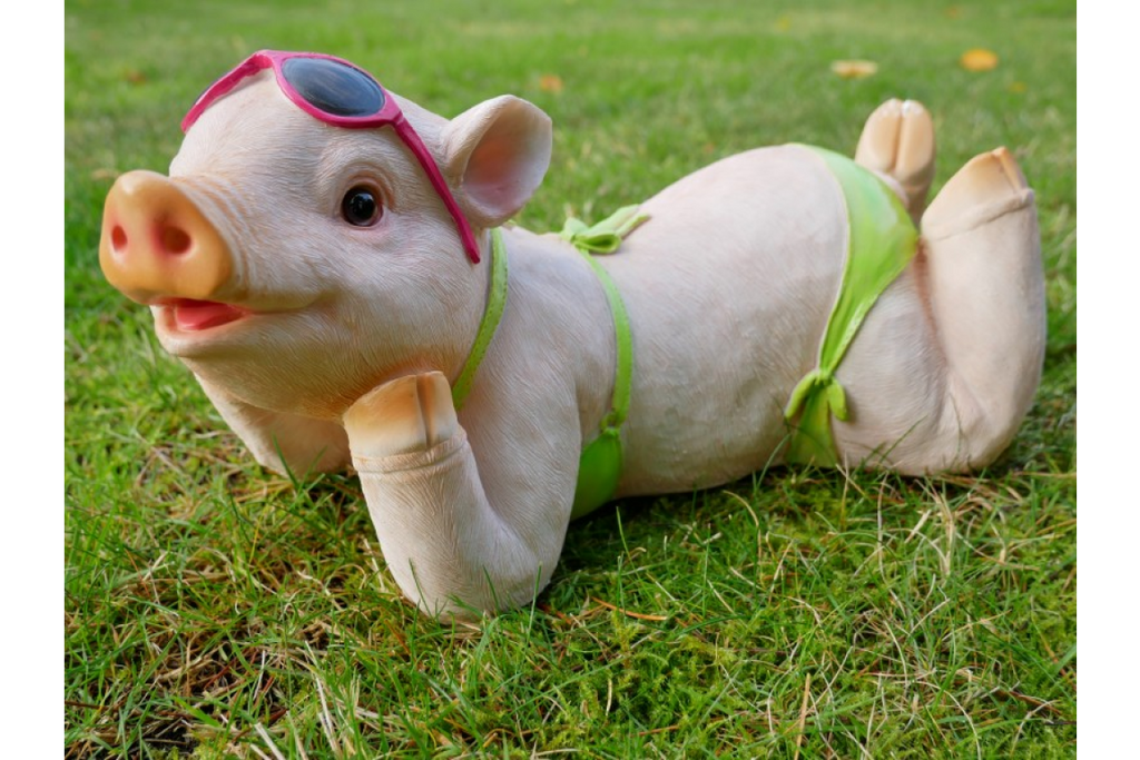 Pig In Bikini