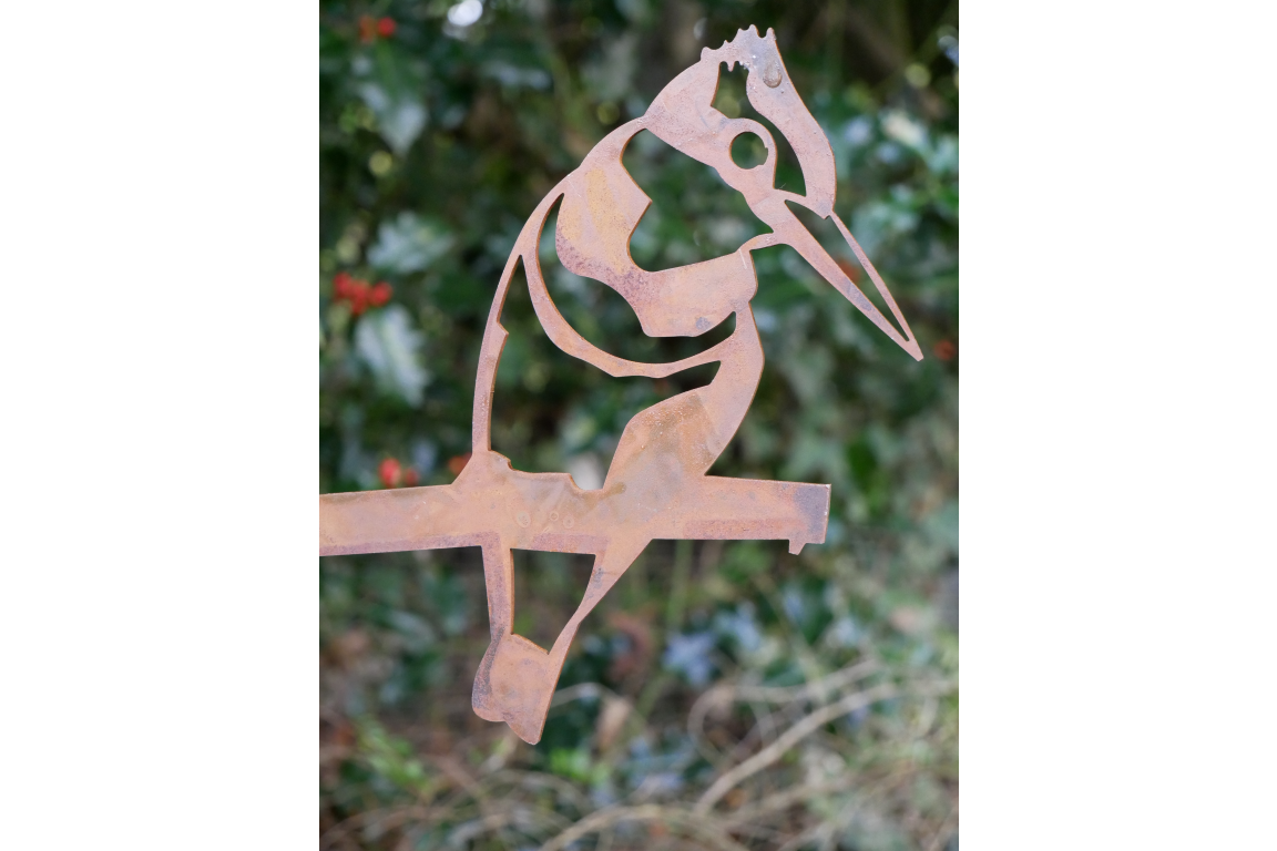 Bird Spike