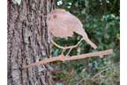 Bird Spike