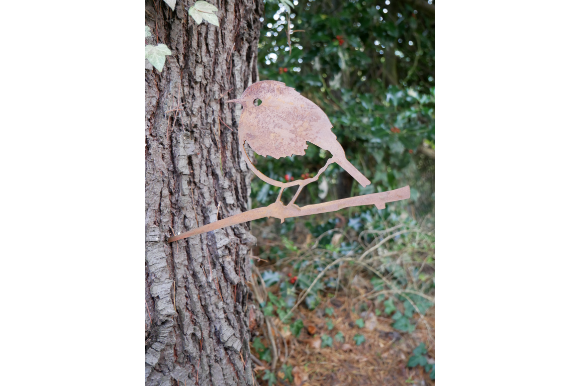 Bird Spike