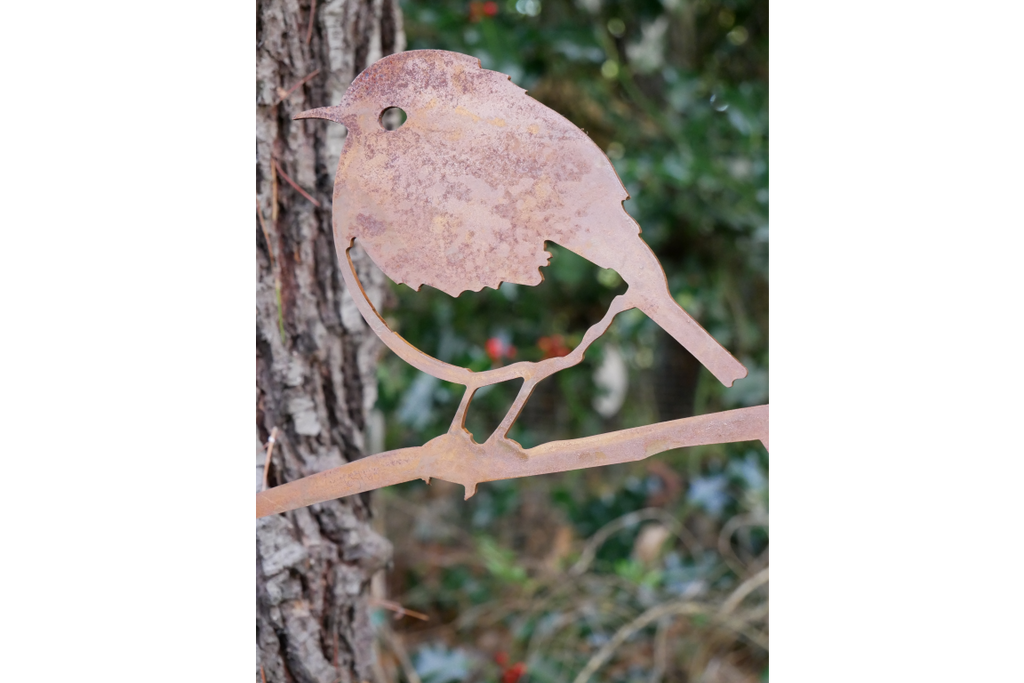 Bird Spike