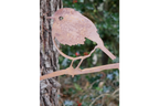 Bird Spike