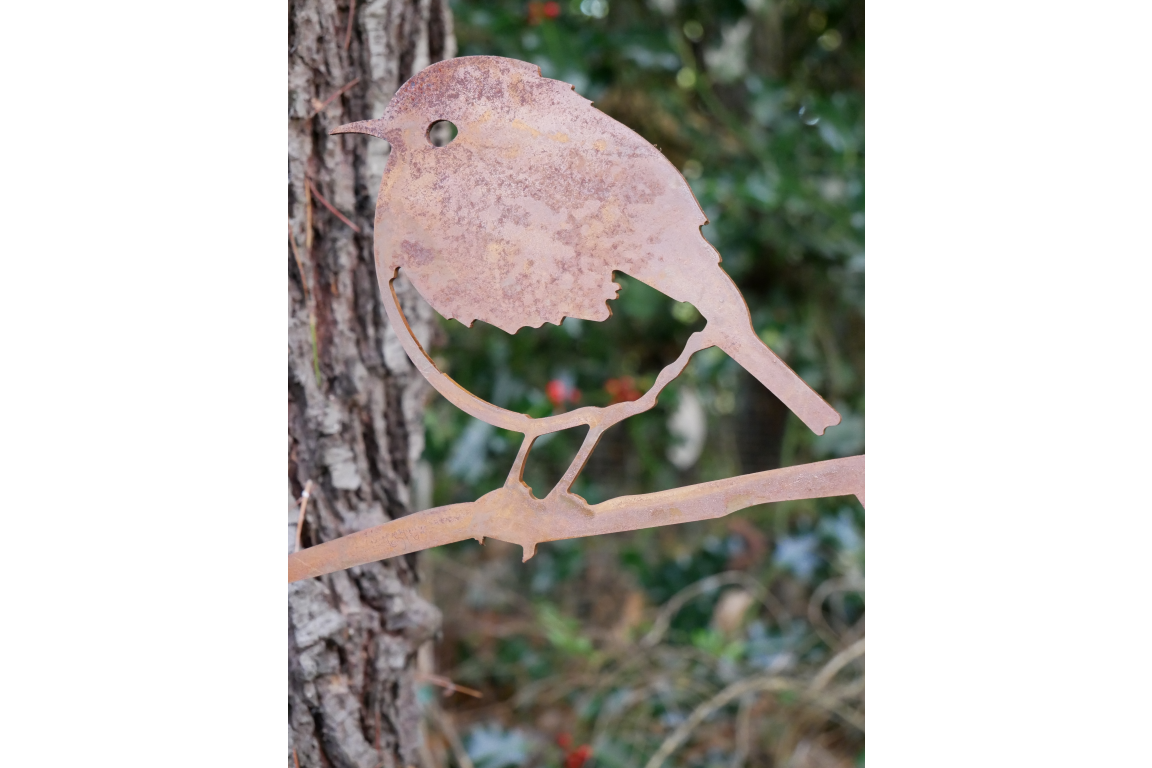 Bird Spike