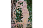 Owl Spike