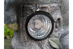 Sloth With Solar Light