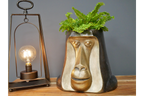 Monkey Head Pot