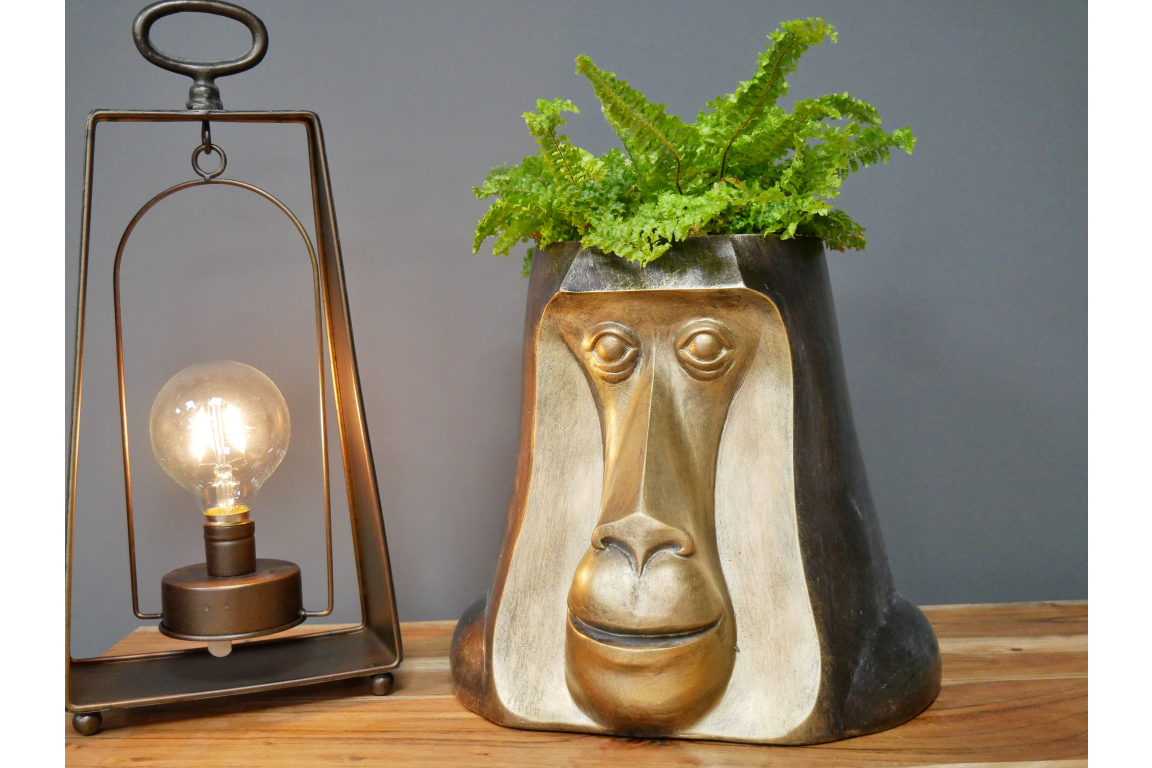 Monkey Head Pot