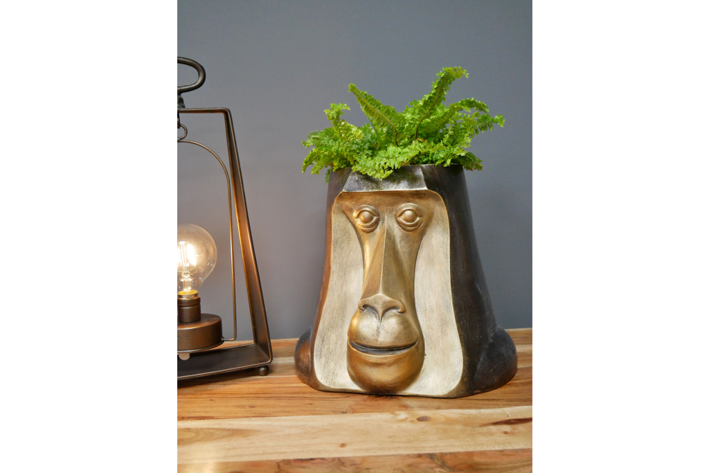 Monkey Head Pot