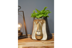 Monkey Head Pot