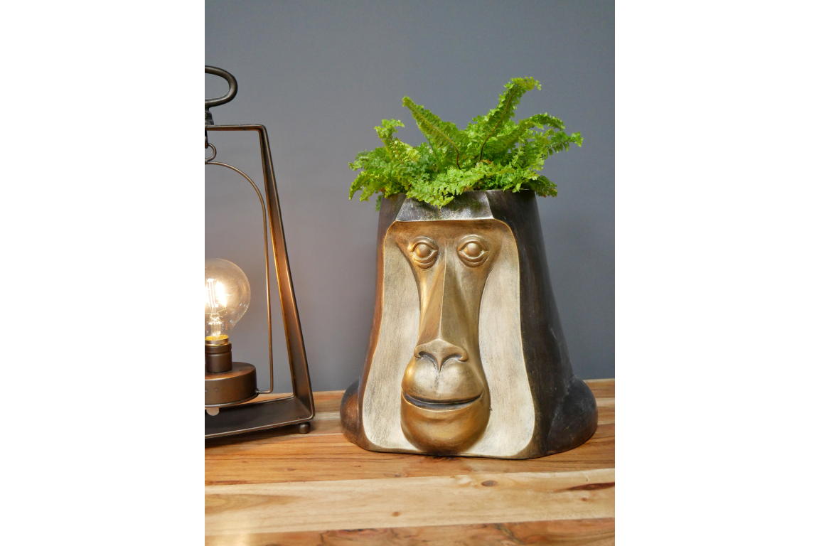 Monkey Head Pot