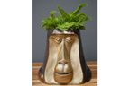 Monkey Head Pot