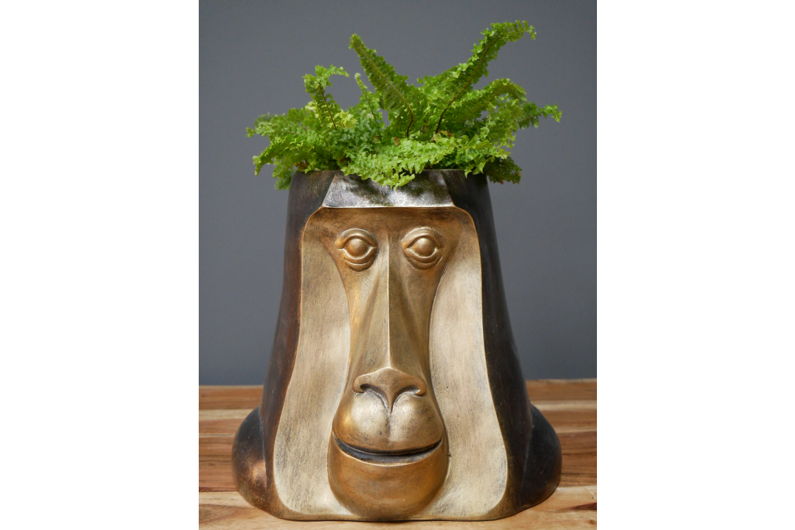 Monkey Head Pot