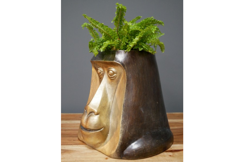 Monkey Head Pot