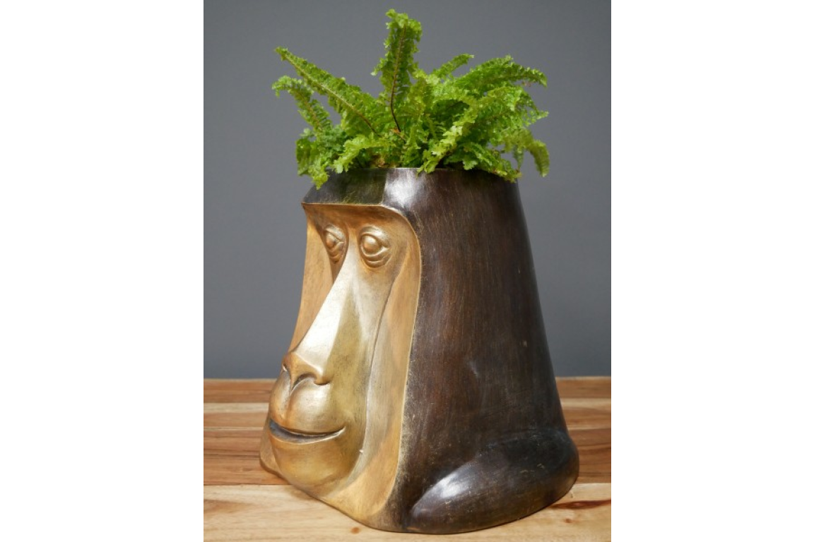 Monkey Head Pot