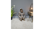 Gavin The Gorilla