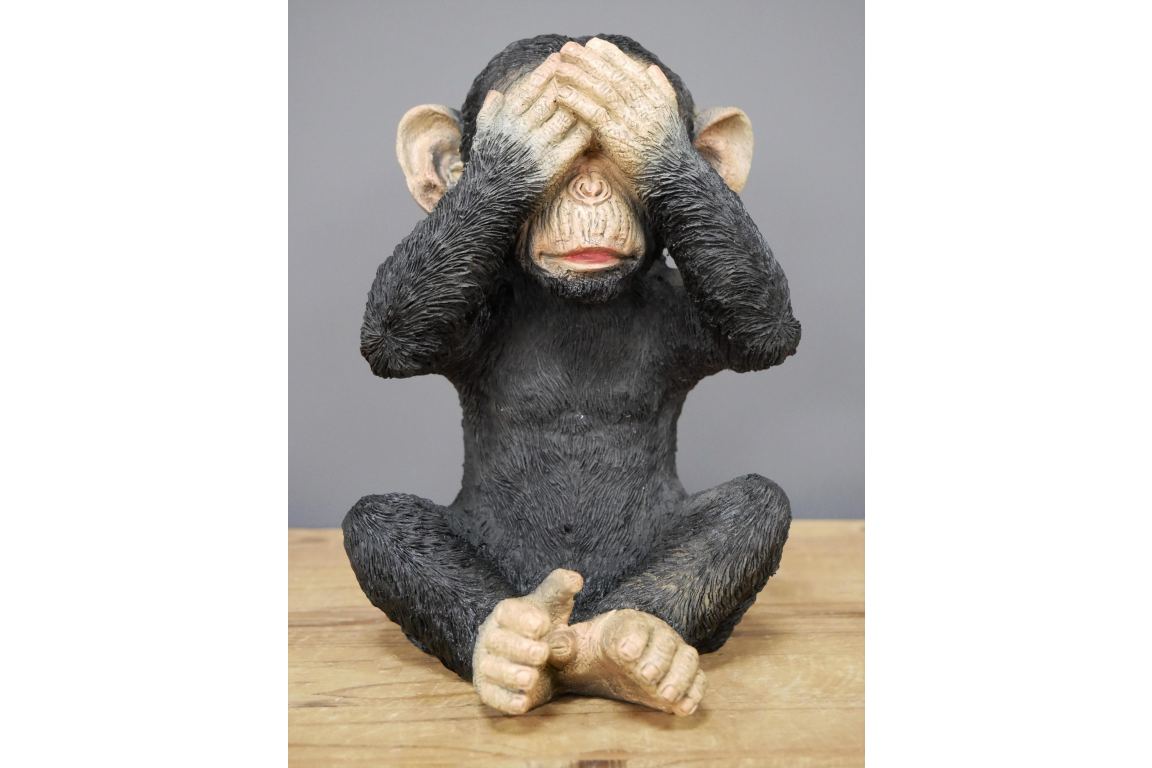 Set Of 3 Monkeys