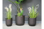 Set of 3 Planters