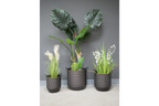 Set of 3 Planters