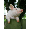 Hanging Pig