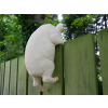 Hanging Pig