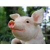 Hanging Pig