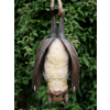 Hanging Bat