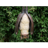 Hanging Bat
