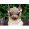 Hanging Bat