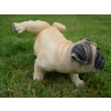 Cocking Dog