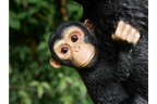 Hanging Monkey & Baby
