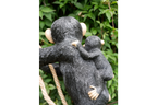 Hanging Monkey & Baby