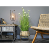 Plant Stand