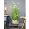 Plant Stand