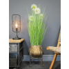 Plant Stand