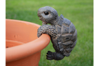 Pot Hanging Tortoise