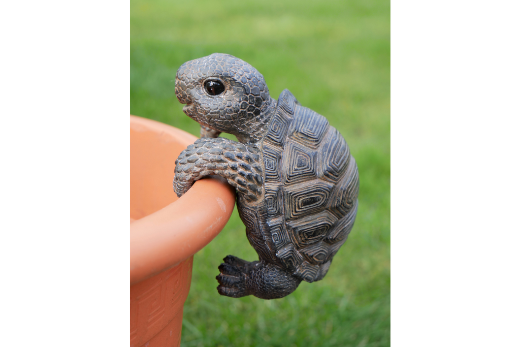 Pot Hanging Tortoise