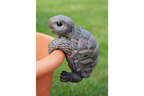 Pot Hanging Tortoise
