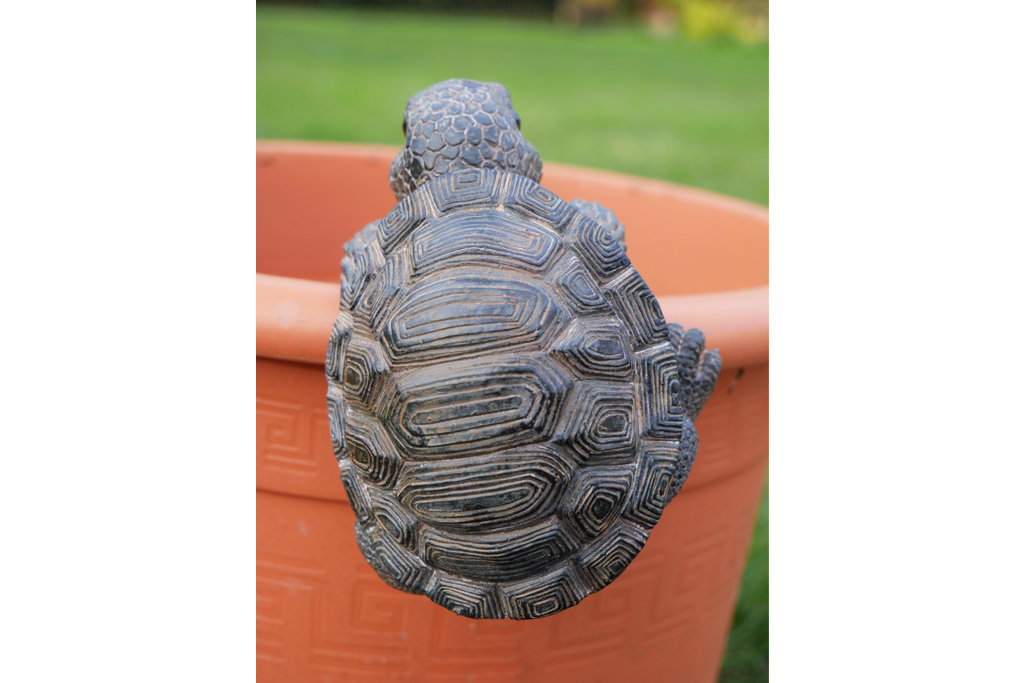 Pot Hanging Tortoise
