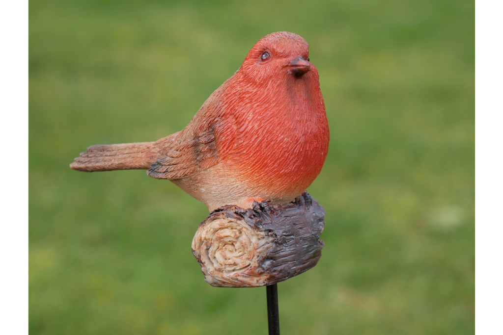 Robin On Stake