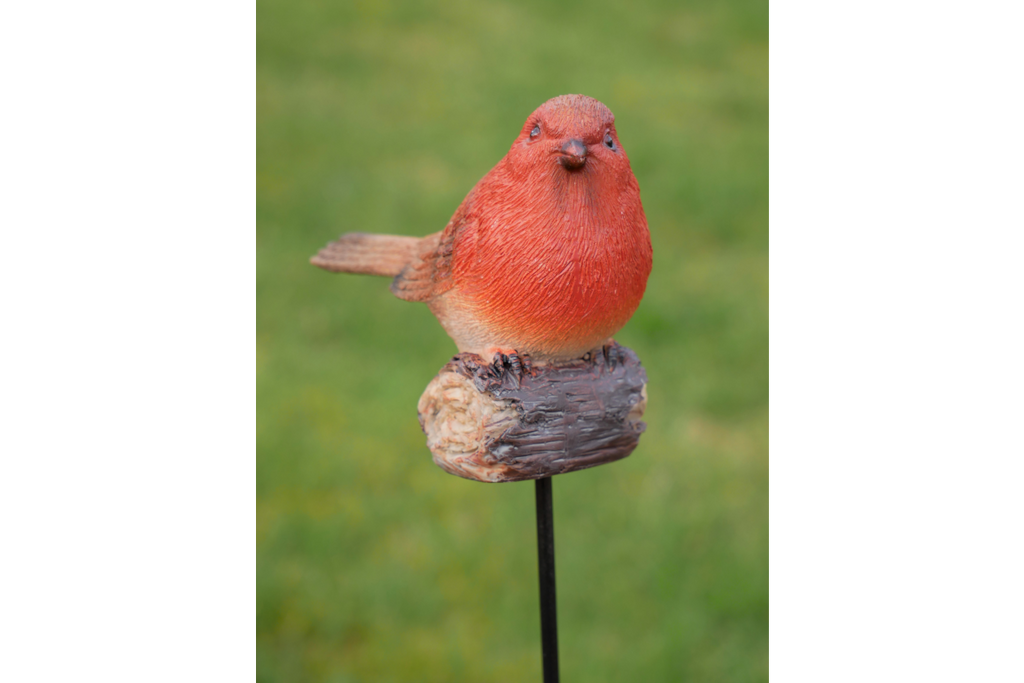 Robin On Stake