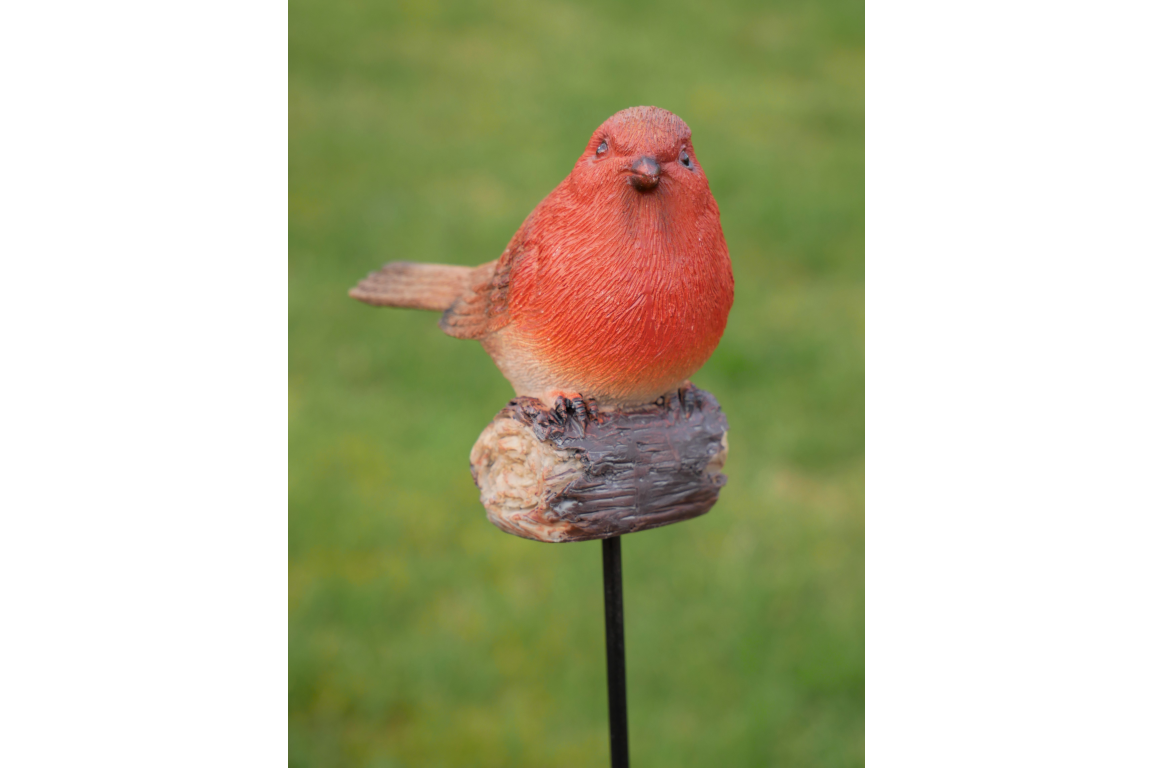 Robin On Stake