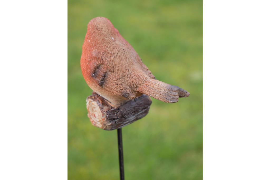 Robin On Stake