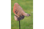 Robin On Stake