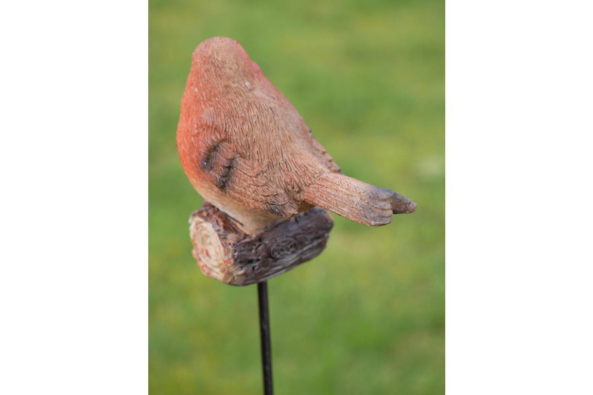 Robin On Stake