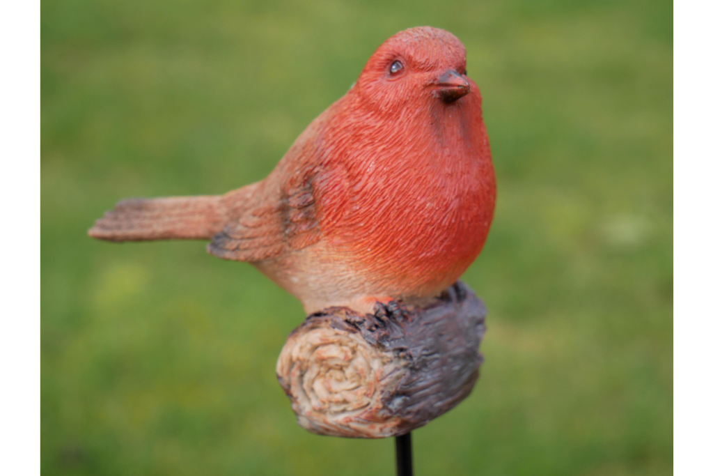 Robin On Stake
