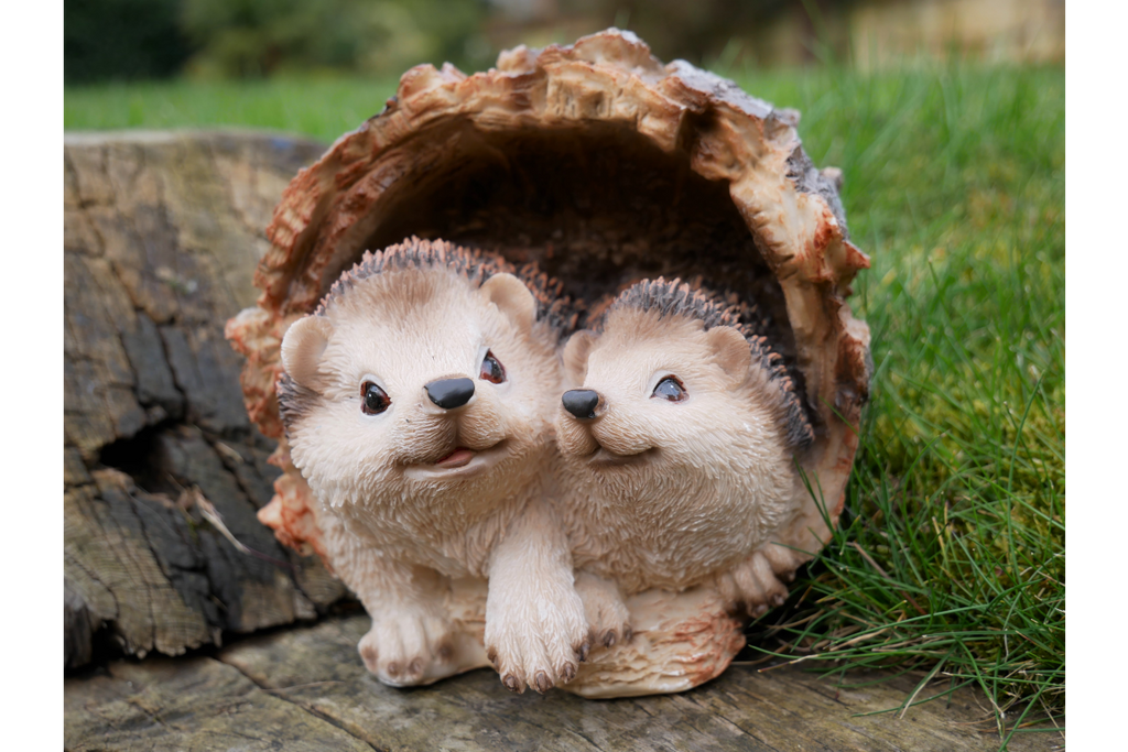 Hedgehogs In Log