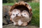 Hedgehogs In Log