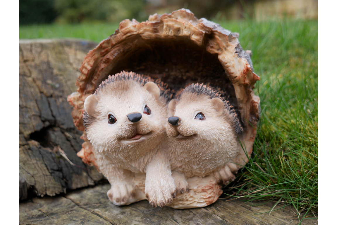 Hedgehogs In Log