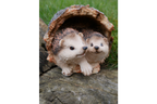 Hedgehogs In Log